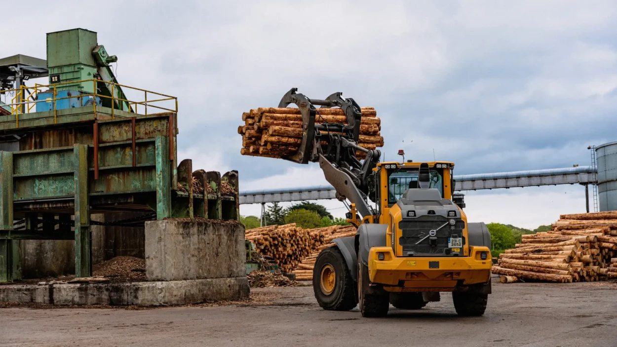 A wheel loader lifting a grab-load of logs at the GP Wood sawmill.